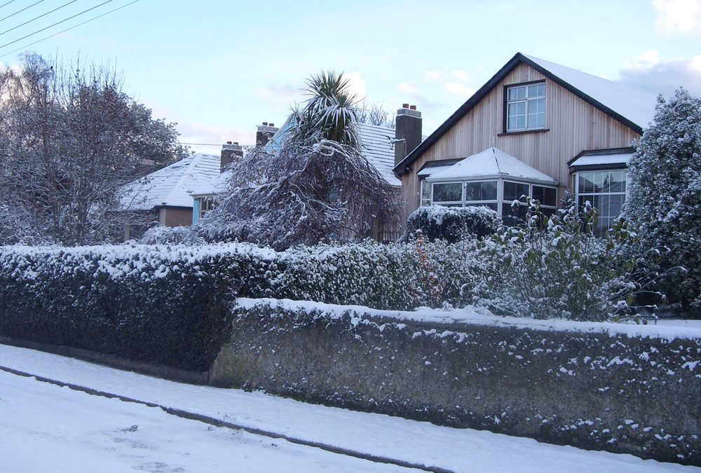 TIMBER CLAD HOUSE – BRAY