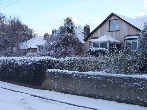 TIMBER CLAD HOUSE – BRAY